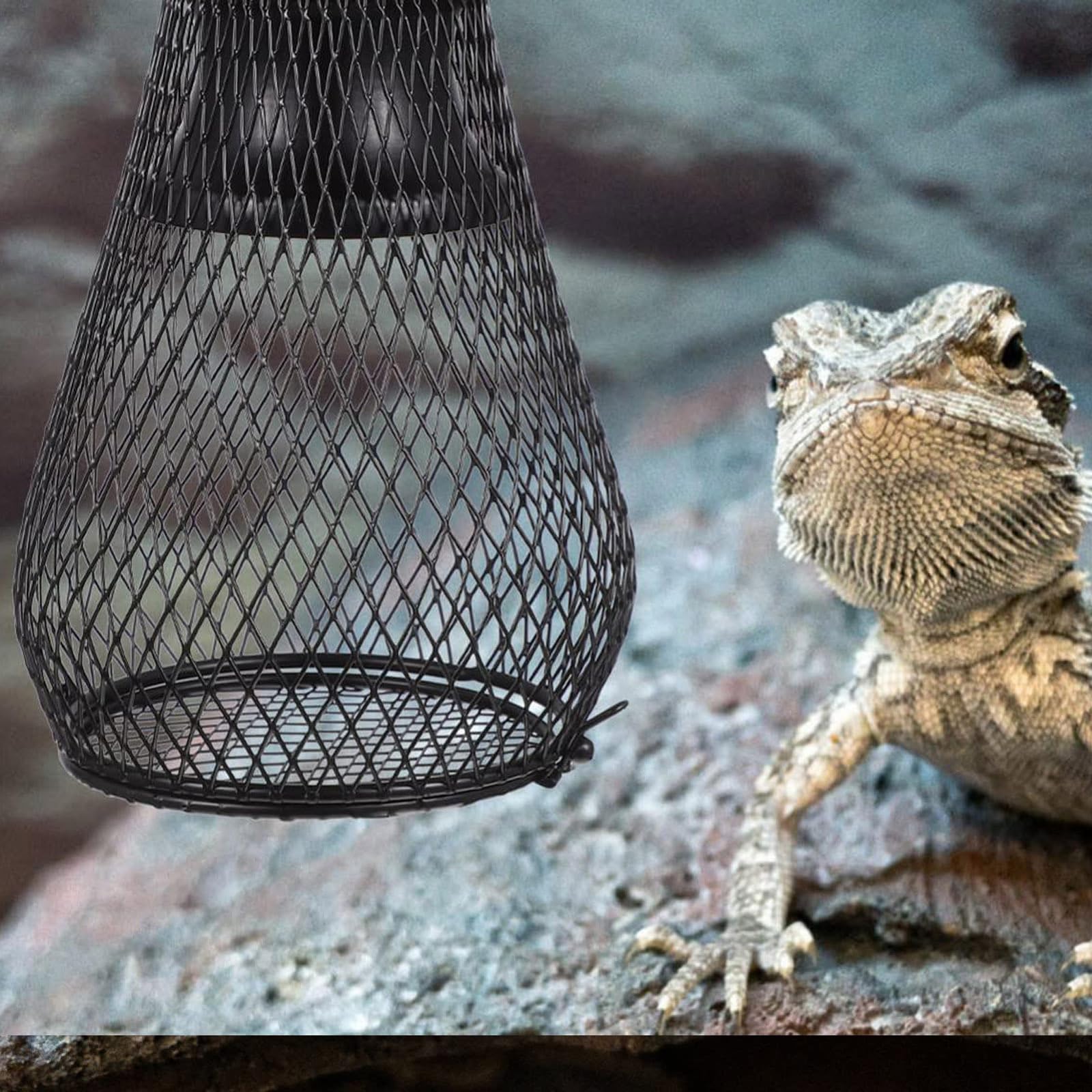 Amazon | 爬虫類 ライトドーム 爬虫類紫-外-線ライトカバー ランプ